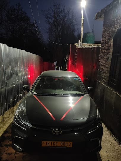 Top Kashmir tour and travels business photograph