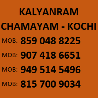 Kalyanram Chamayam Dance Costume & Fancy Dress Rentals business photograph