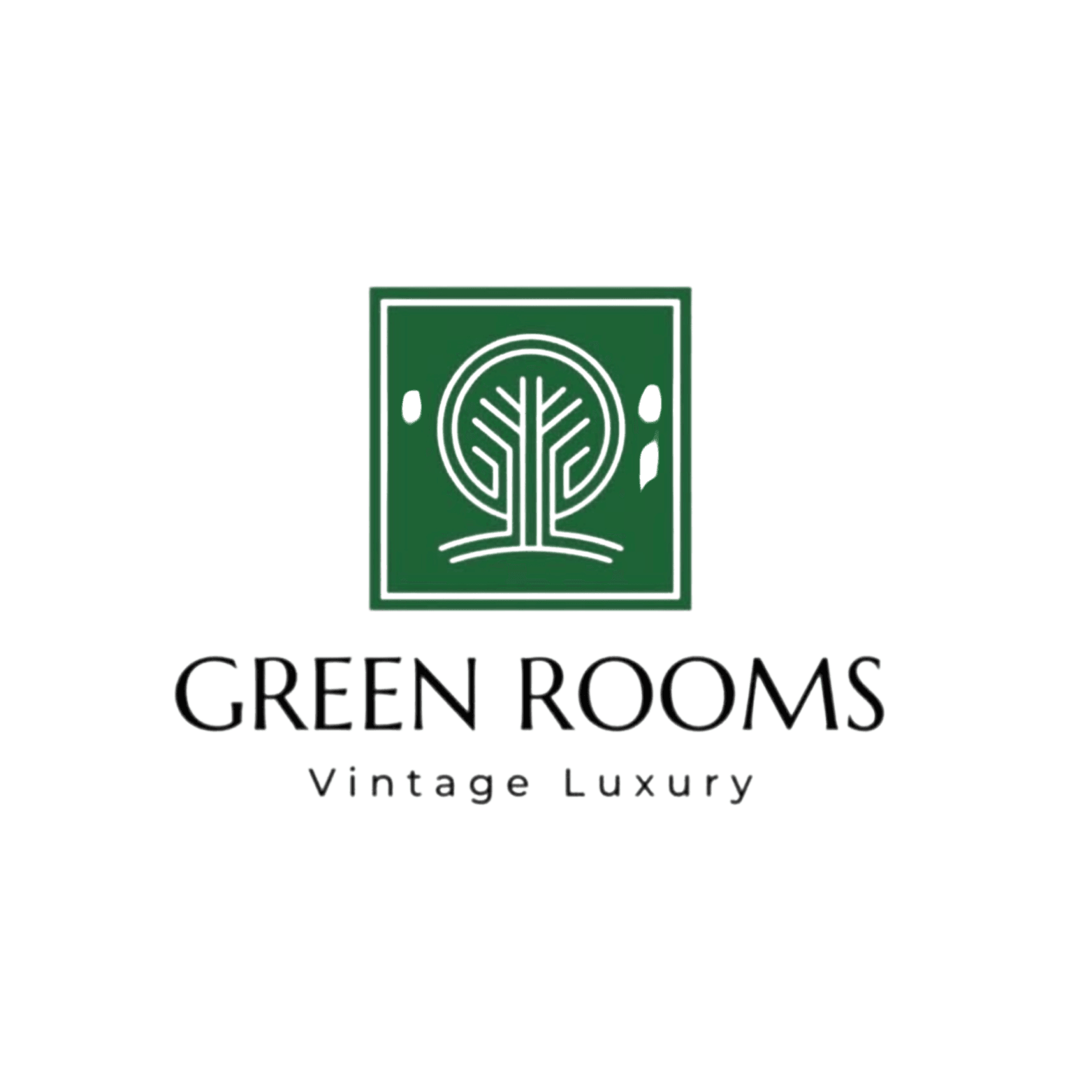 Hotel Green Rooms, Vintage Luxury near Dal Lake business photograph