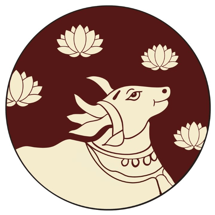 Vandana Sarees business photograph