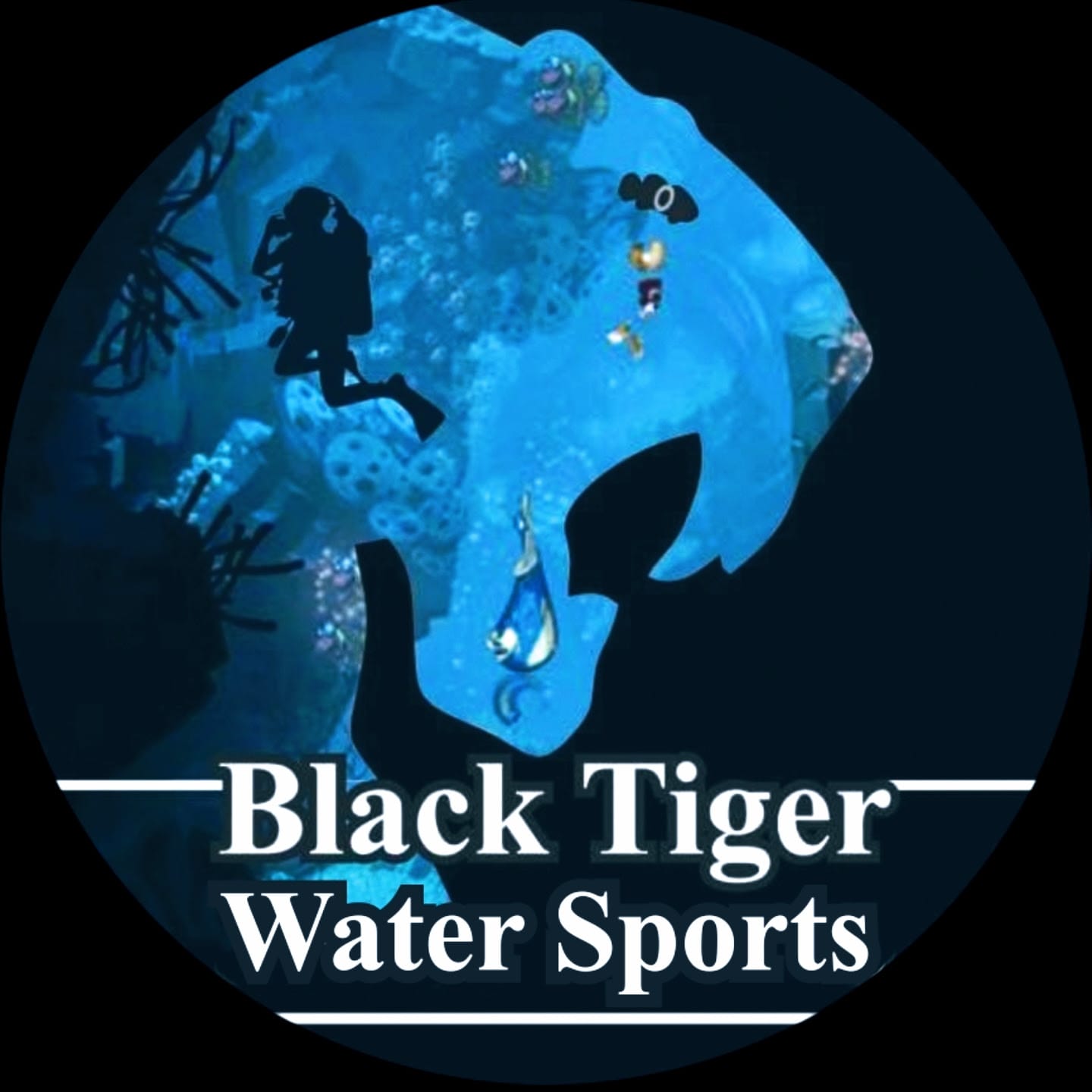 Black Tiger Water Sports business photograph