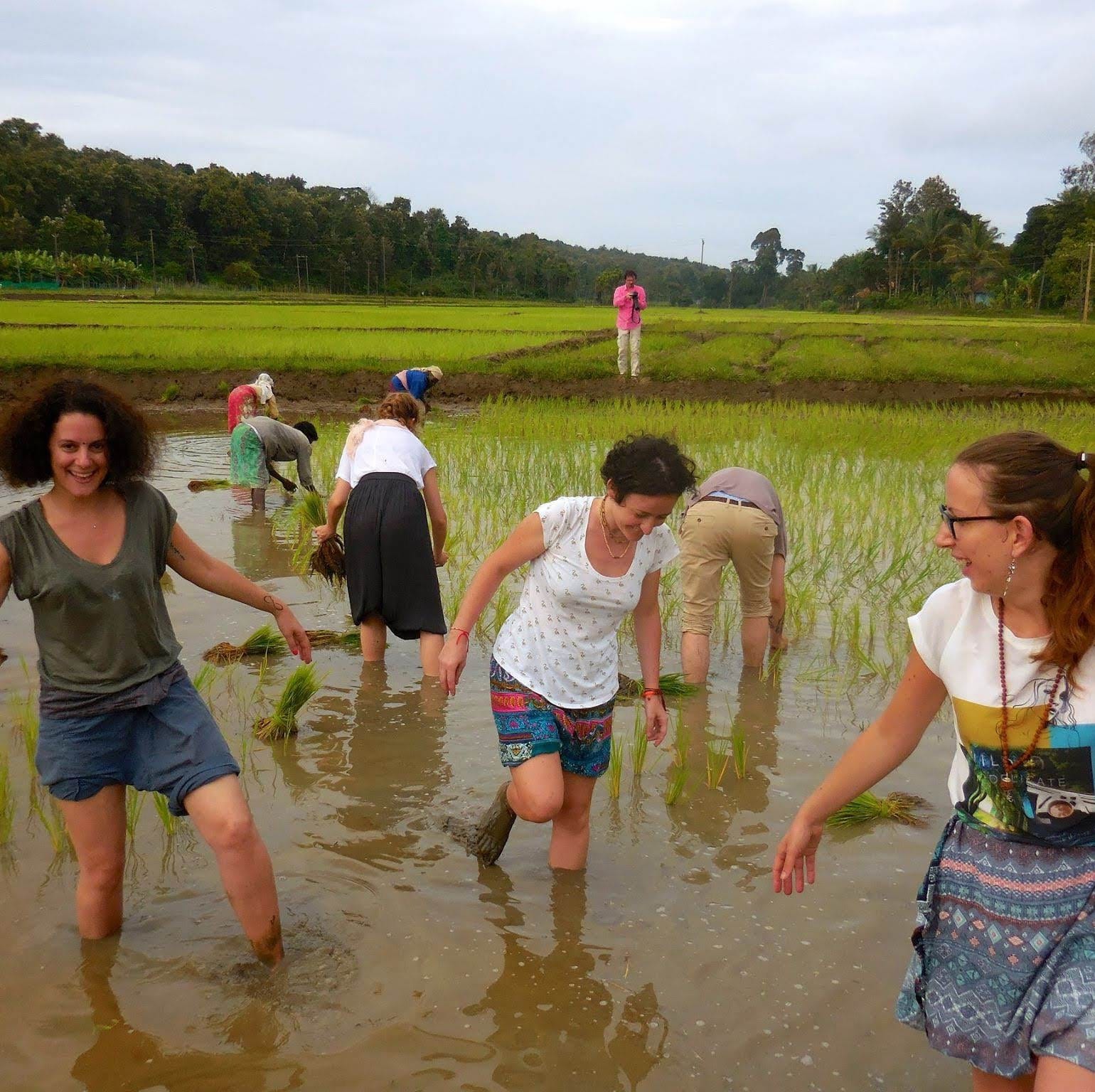 Wayanad Guide business photograph