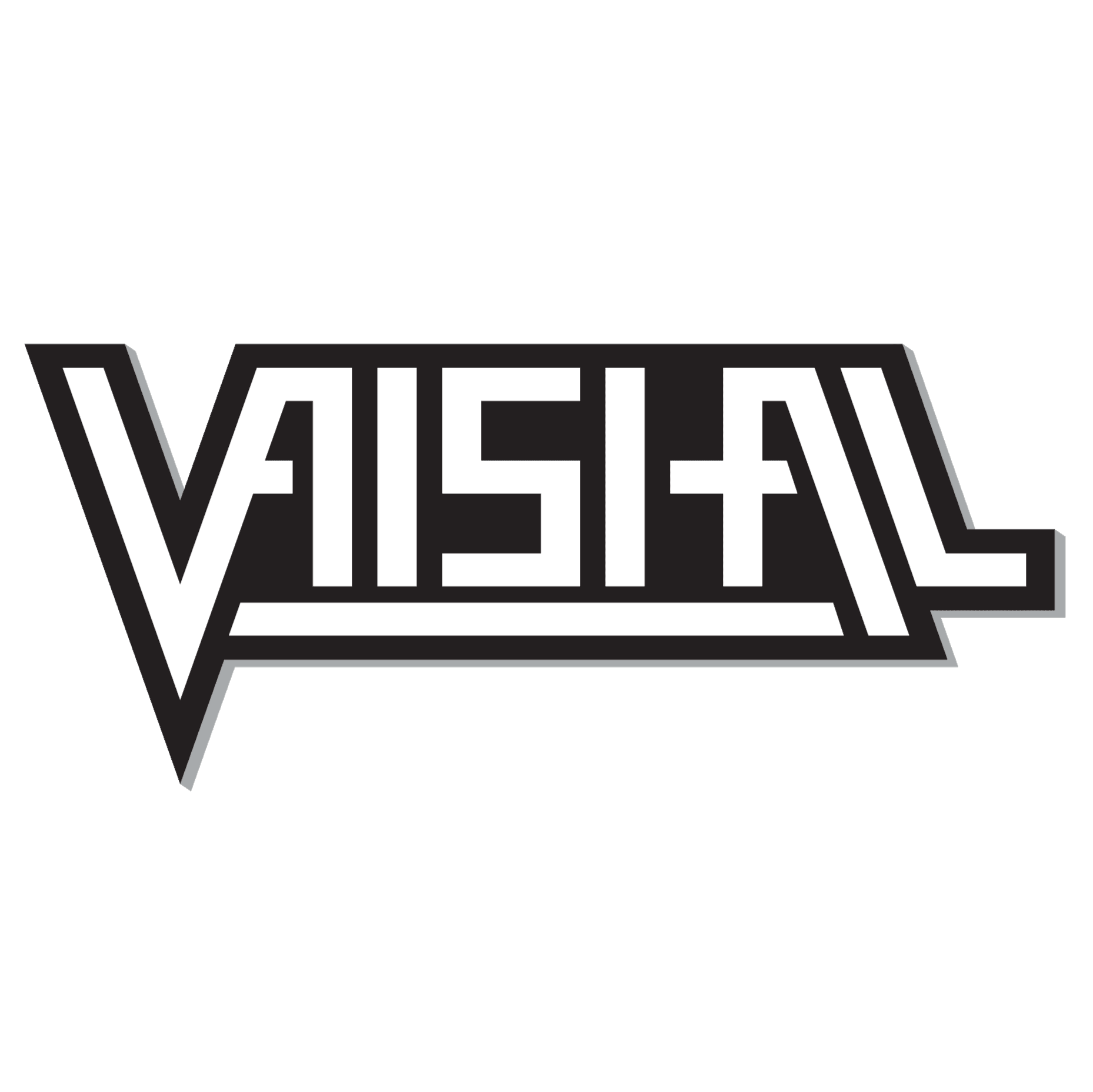 DJ VAISHAL INDIA business photograph