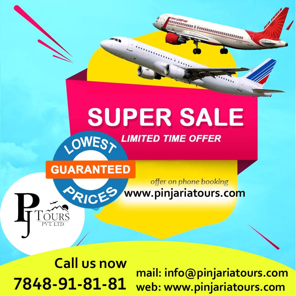 PINJARIA AIR TICKET PVT .LTD. (SINCE 2003) business photograph