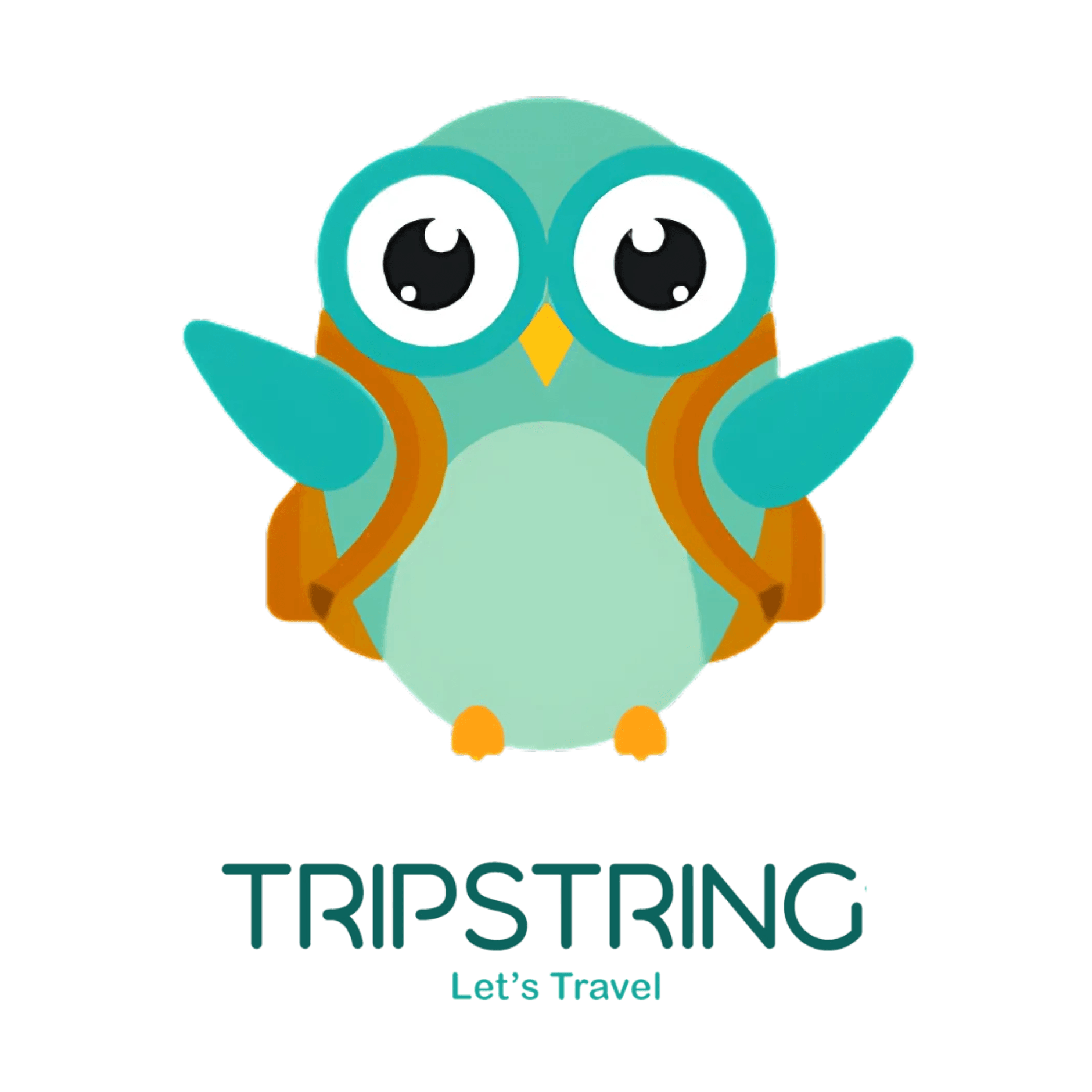 Trip String (GOA DMC) business photograph