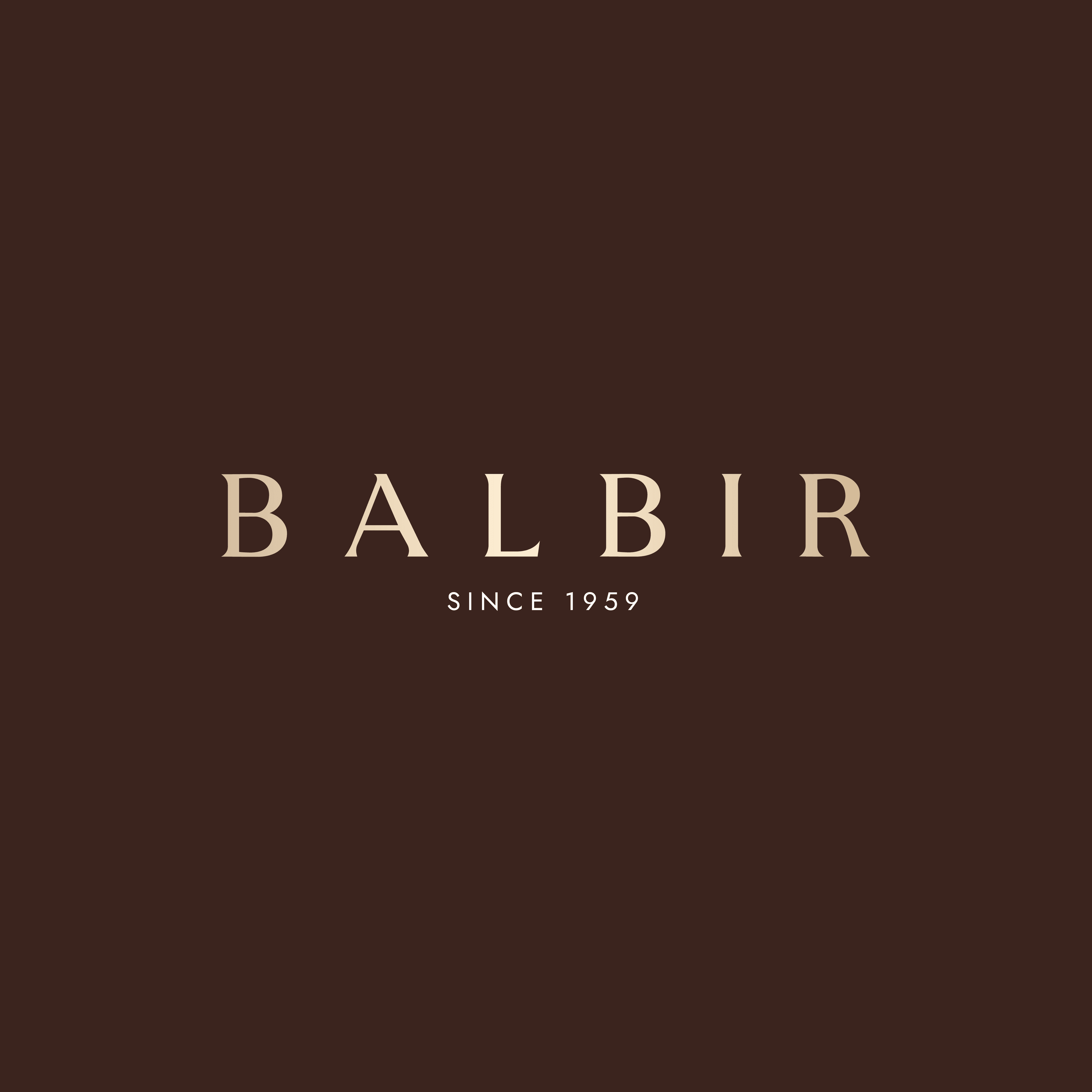 Balbir Store business photograph