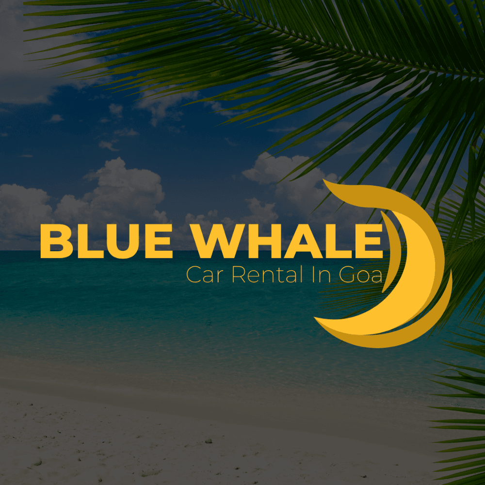 Blue Whale Goa - Water Sports in Goa business photograph