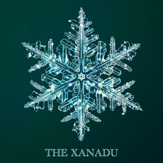 Mastiff Xanadu, Manali business photograph