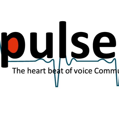 Pulse Telesystems Private Limited business photograph