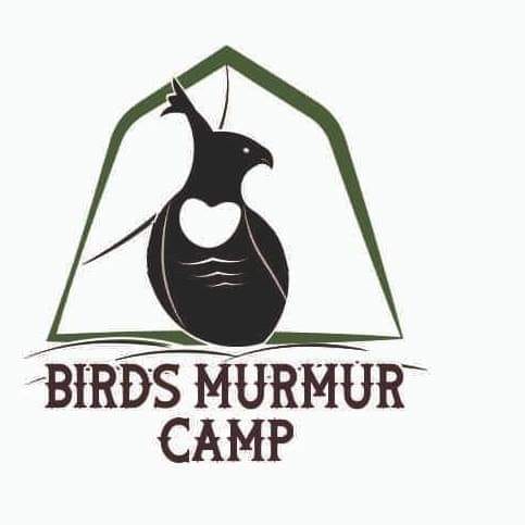 Birds Murmur Camp, Thattekkad business photograph