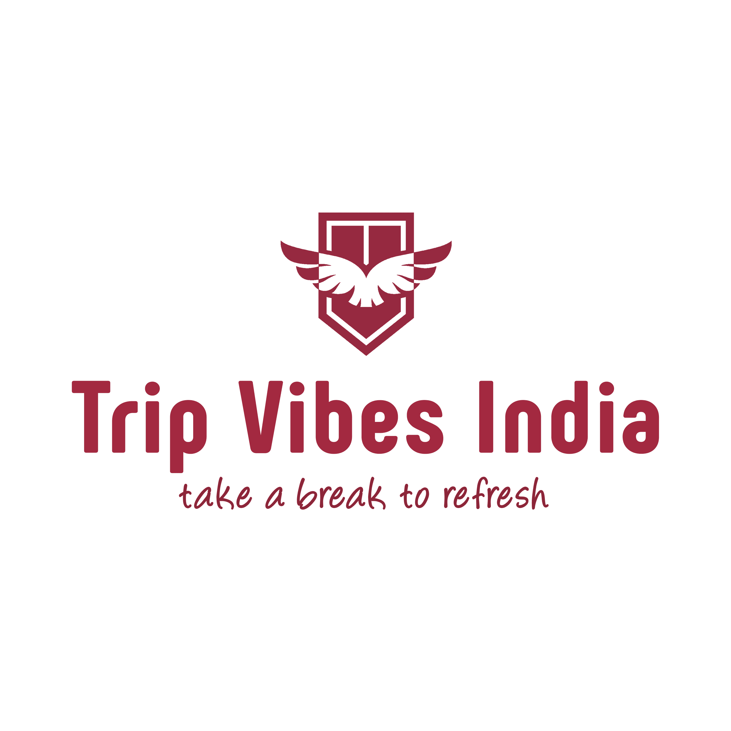 Trip Vibes India Holidays business photograph