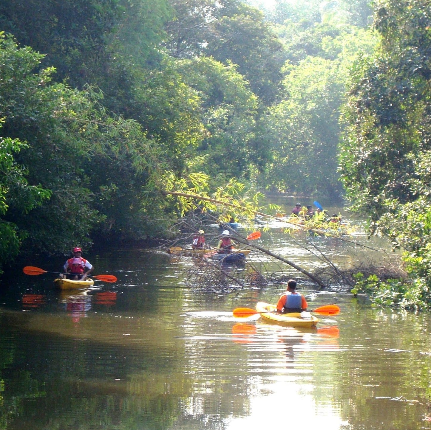 Goa Kayaking business photograph