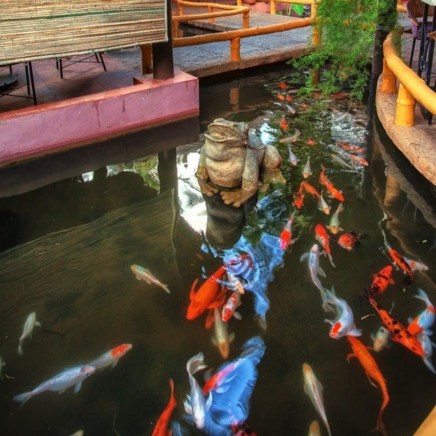 Holiday Village Resort business photograph