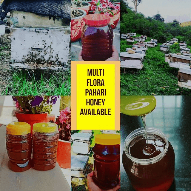 Himalayan Honey Bee Farm (Pure pahari organic honey ) business photograph