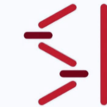 Sandur Kushala Kala Kendra business photograph