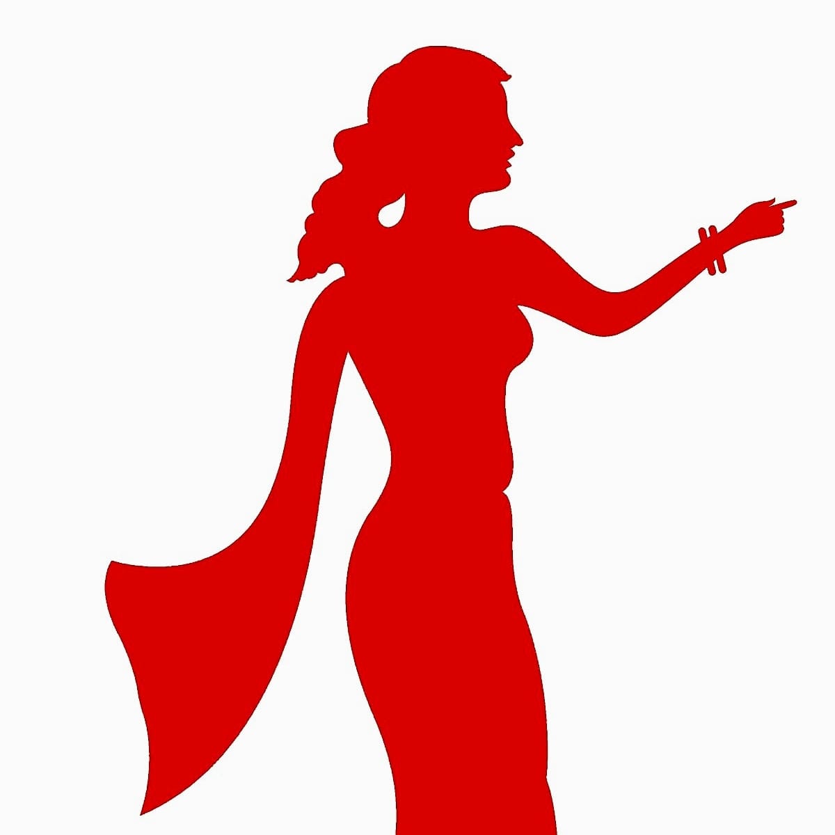 Southern Sareess business photograph