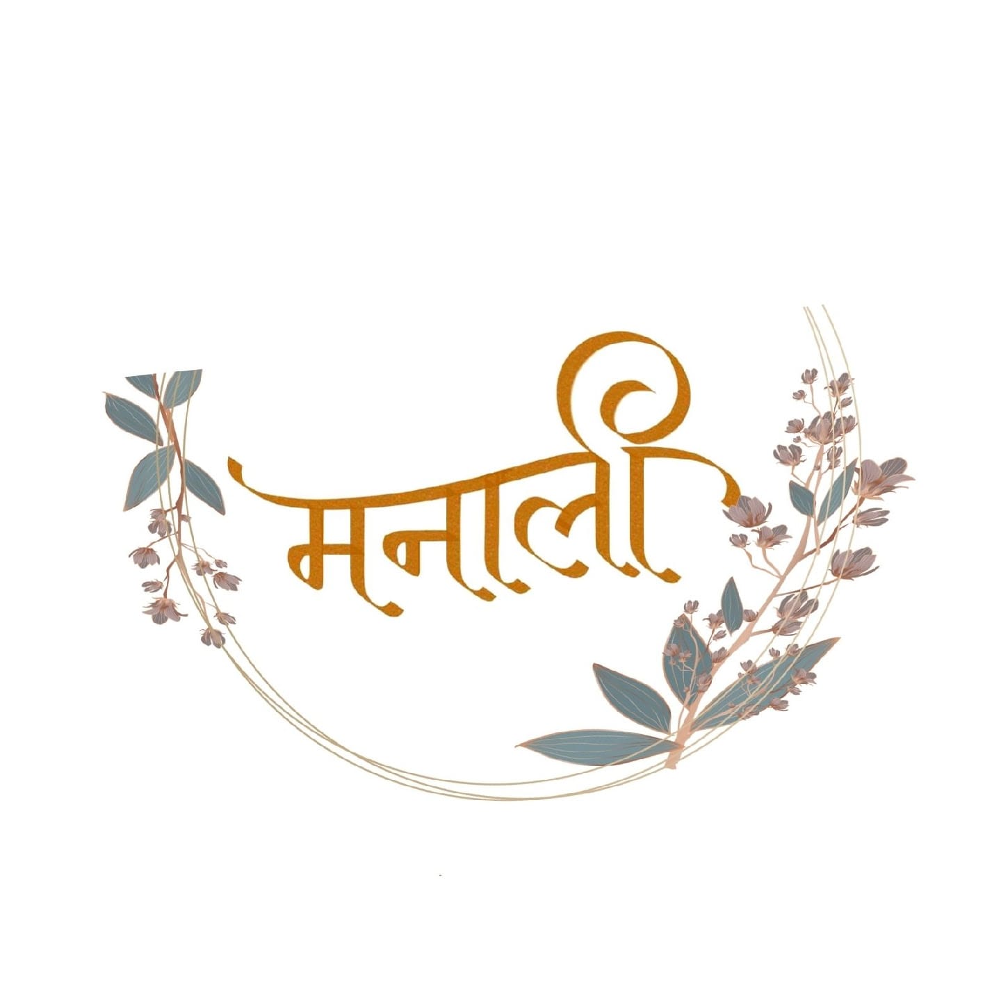 Manali Saree Showroom business photograph