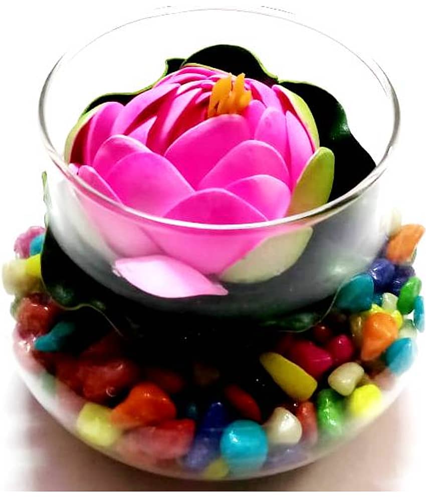 Green plant indoor Lotus Pink Flowers With Pot - Pack of 1