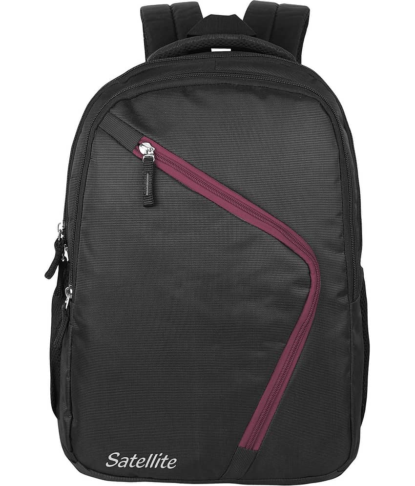 SATELLITE 35 Ltrs Purple Laptop Bags