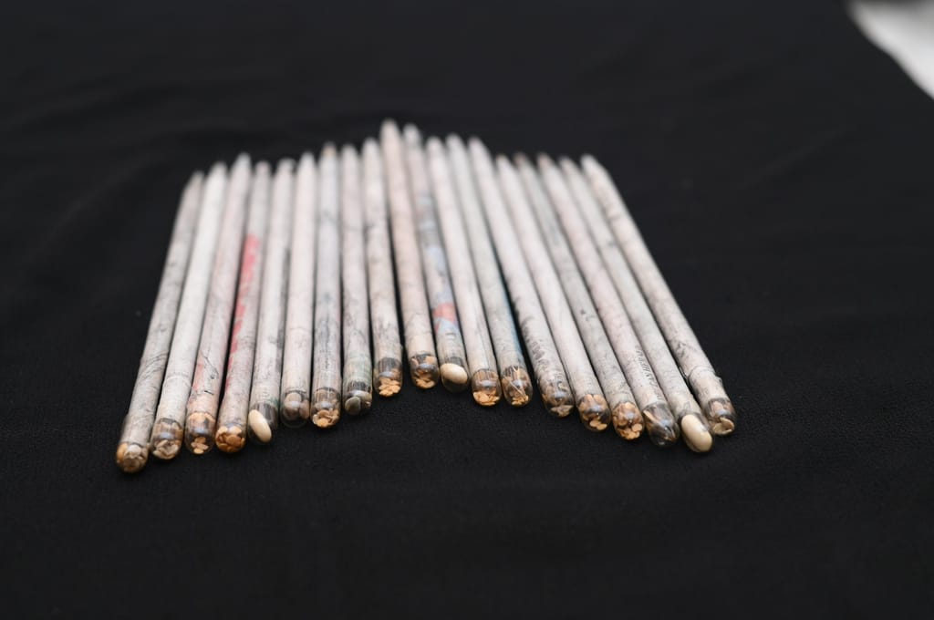 Recycled Newspaper Pencils with Seeds - Pack of 10