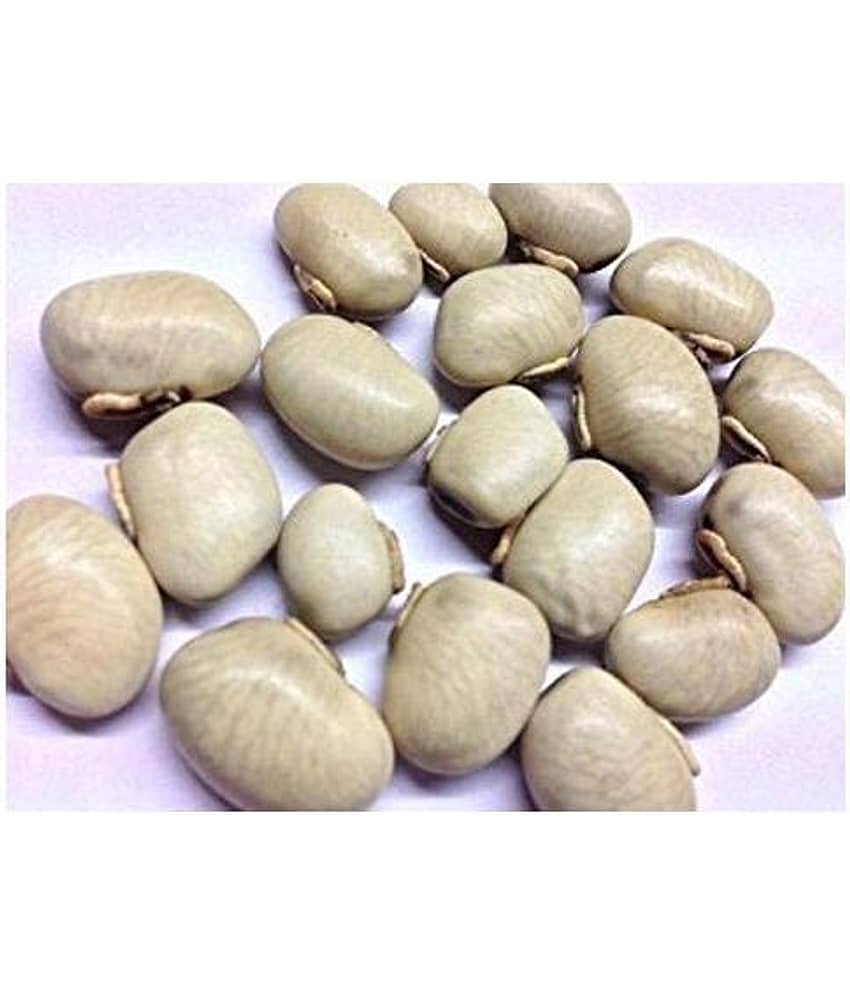 Nutrixia Food Kauch Beej/कौच बीज/Konch/Mucuna pruriens/Kaunch Seeds 480 gm