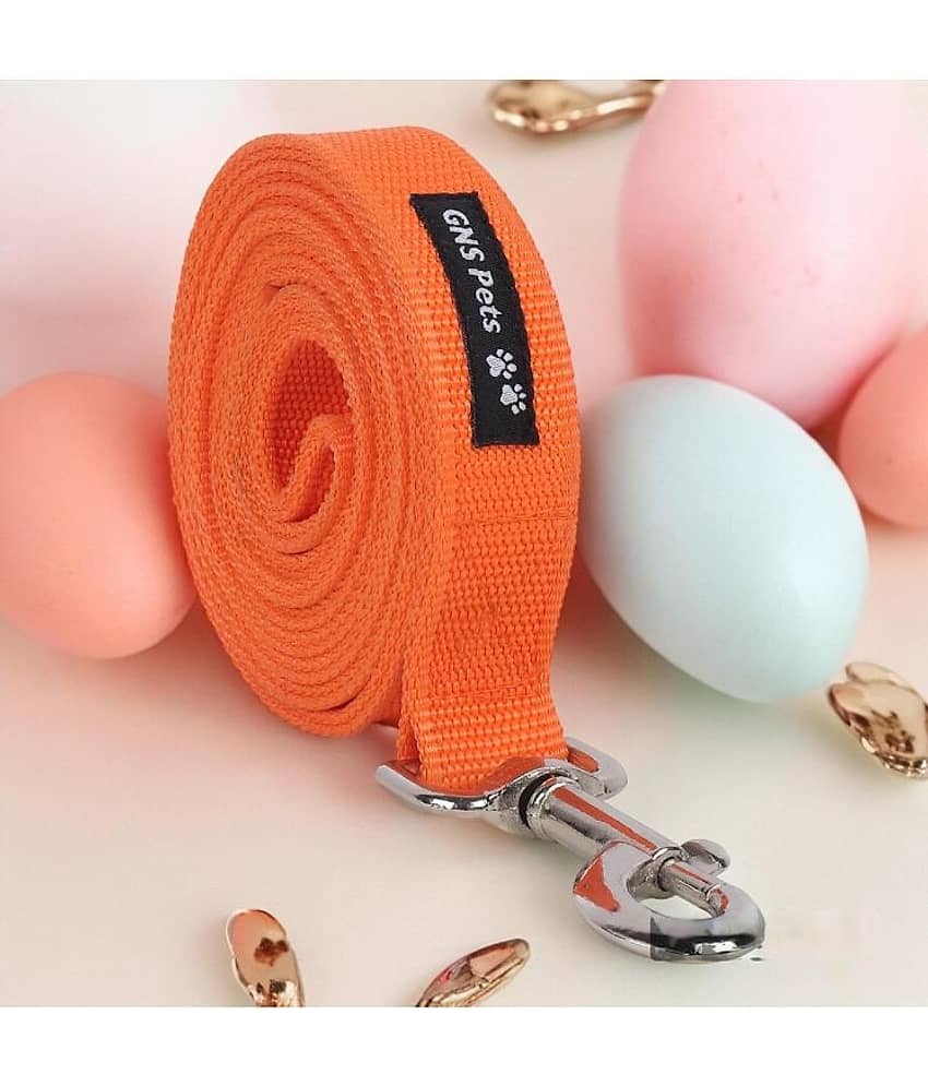 GNS PETS Green Leash ( Large )