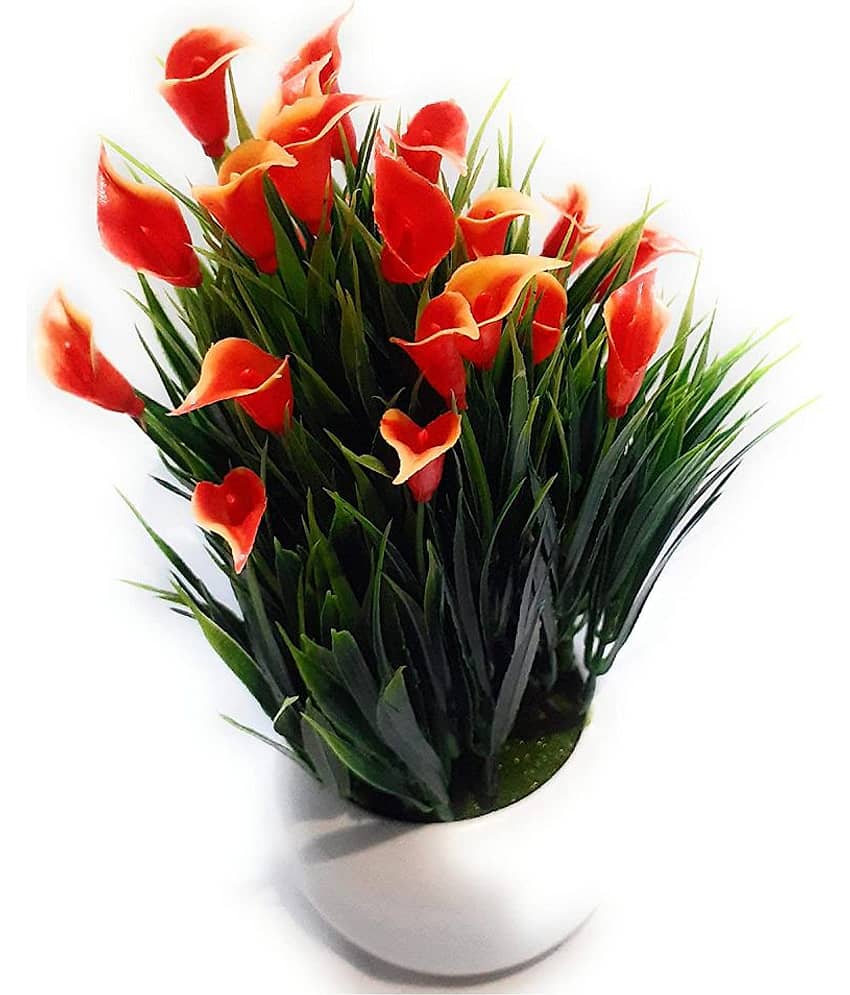 Green plant indoor Wild Flower Multicolour Flowers With Pot - Pack of 1