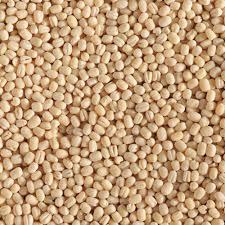 URID DAL 1KG