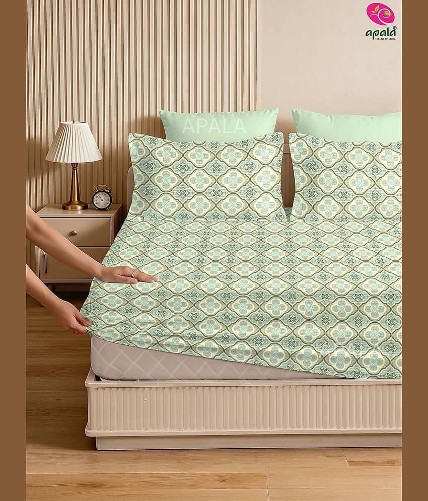 Apala Microfibre 1 King Fitted Bedsheet with 2 Pillow Covers ( 198 cm x 182 cm ) , Green
