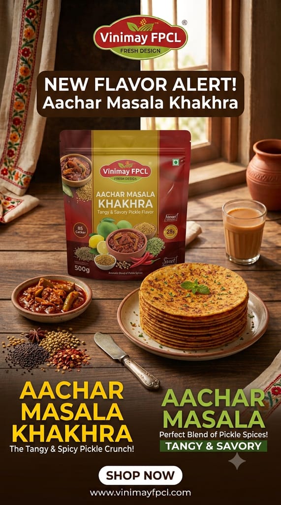 Vinimay Brand - Vacuum Pack Aachar Masala Khakhara - 200 gram view 2