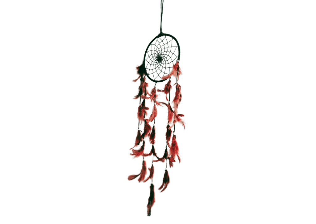 Brown Colour feathers - Dream Catcher Traditional Indian Dreamcatchers Wall Art For Bedrooms, Home Wall, Hanging Design. Size 4" (5 - Piece Set) view 2