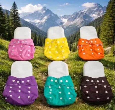 Pack of 6 with 6 Inserts Baby Cloth Diaper