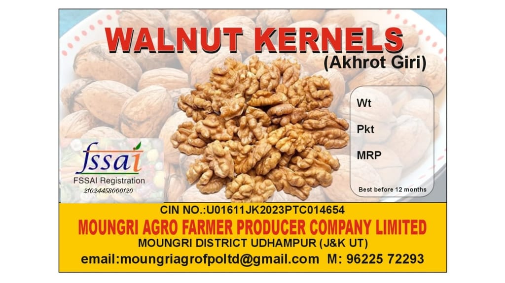 Walnut Kernals | Akharot Giri view 2