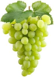 Fresho Thompson seedless grapes view 2