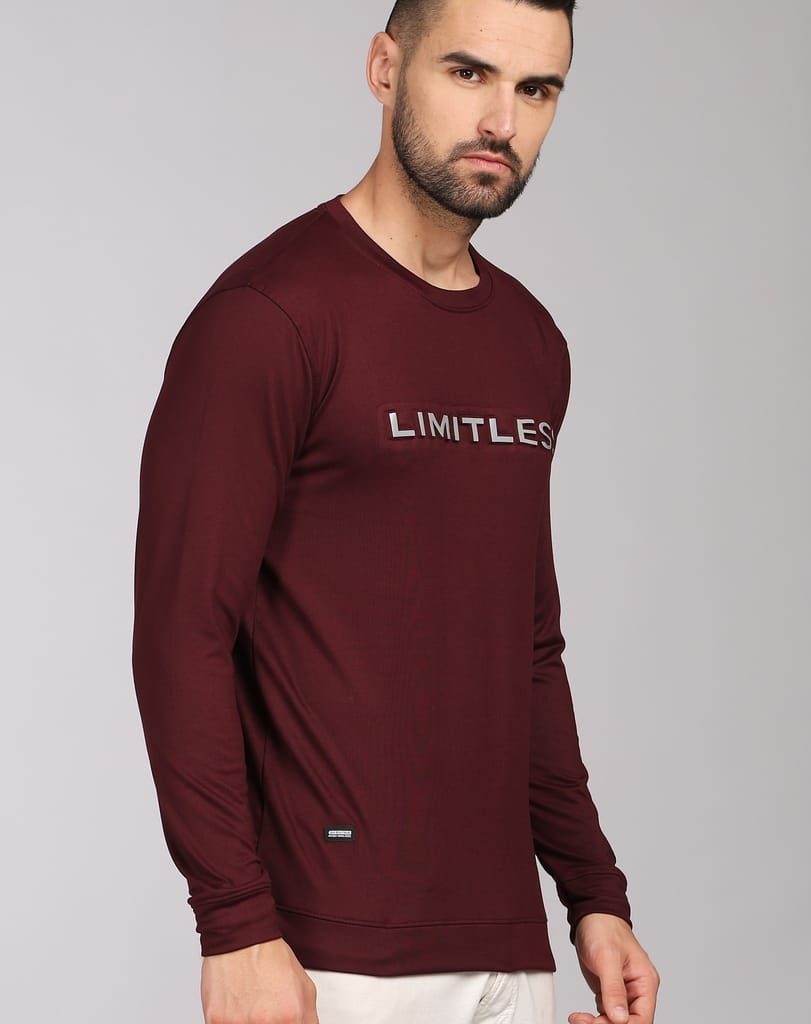 Men Striped Round Neck Polycotton LIMITLESS FULL SLEEVE T-Shirt view 2