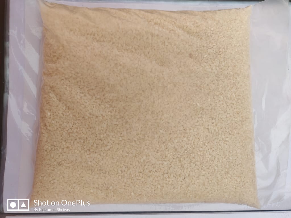 Lohndi Rice view 2