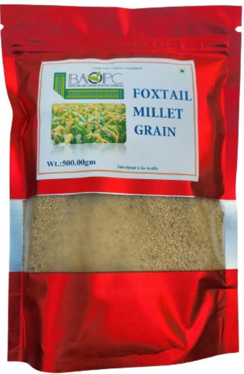 Foxtail Millet - 500 gm - 1 Pack