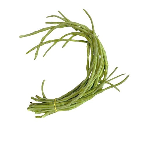 Fresh Green Yardlong Beans