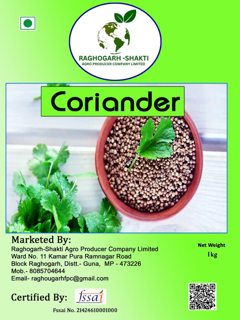 Coriander view 2