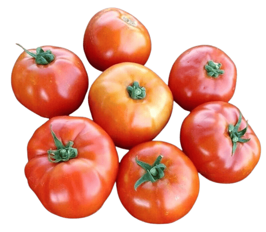 "Fresh, Vine-Ripened Tomatoes - Handpicked for Quality and Flavor"