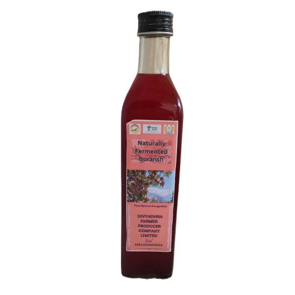 Naturally Fermented Buransh - 500 mL - 1 Bottle