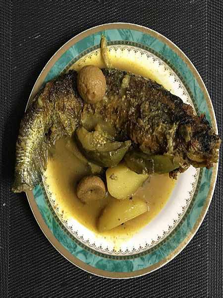 Pabda Tel Bori