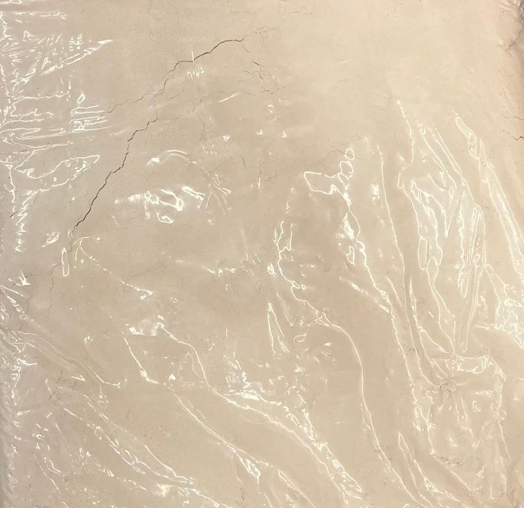 Whole Wheat Flour view 2