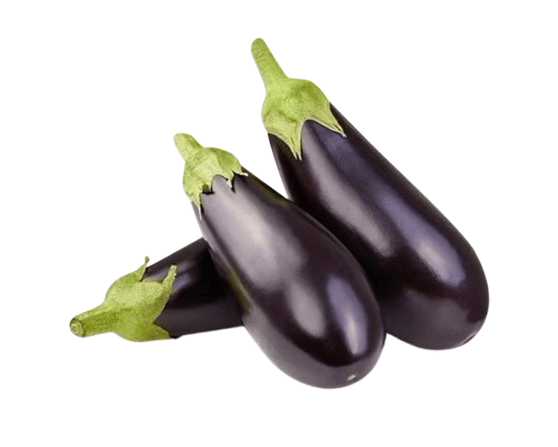 Fresh Brinjal