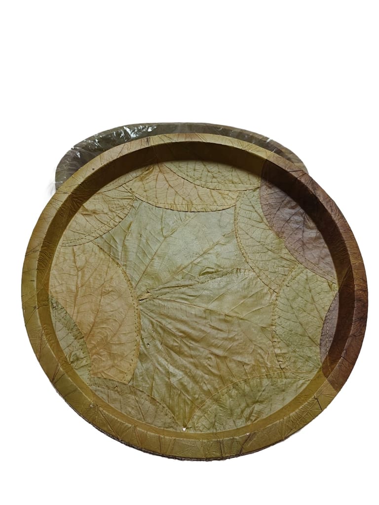 Eco-Friendly Leaf Plates - Biodegradable Disposable Tableware view 2