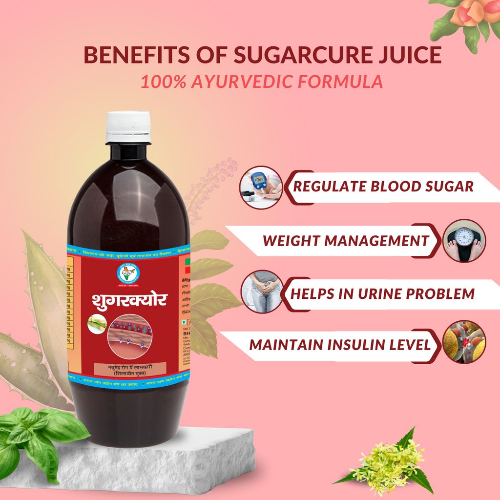 Bharat Gram Udyog Sugarcure Ras - Natural Support for Balanced Sugar Level, 1 L view 2