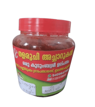 Nalaruchi BeefPickle | 500 gm view 2