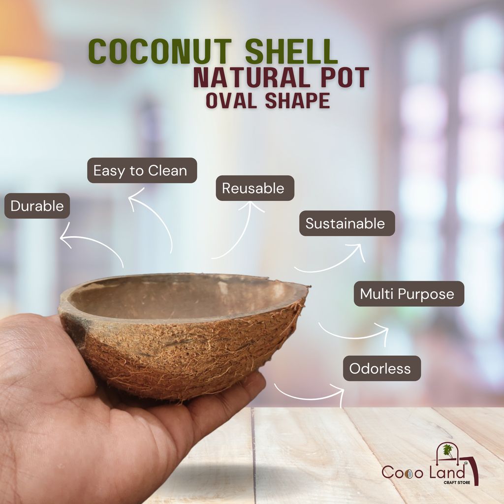 Coco Land Coconut Shell Natural Oval Pot (LARGE SIZE Pack of 30) 250 ml Decorative Pots/Showpieces/Candle Making Bowl /Handicraft/Agro Craft view 2