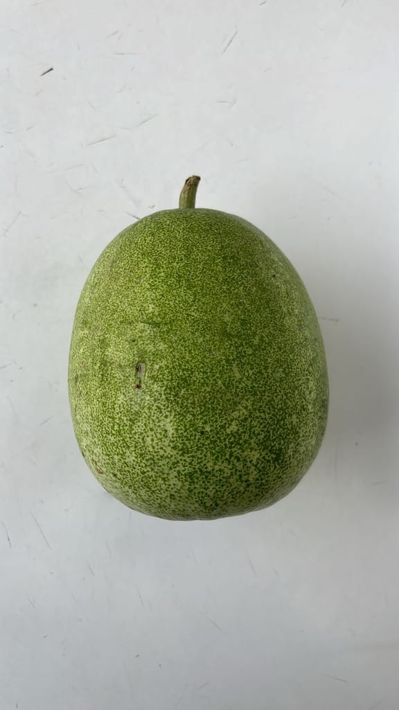 Ash Gourd view 2