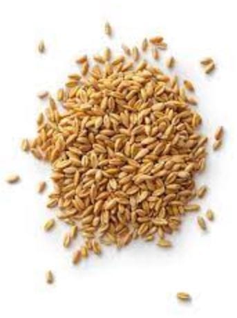 Wheat/Gehu view 2